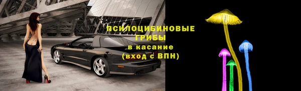 a pvp Алексин