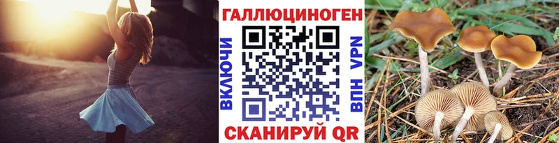 Галлюциногенные грибы мицелий  Нижний Тагил 