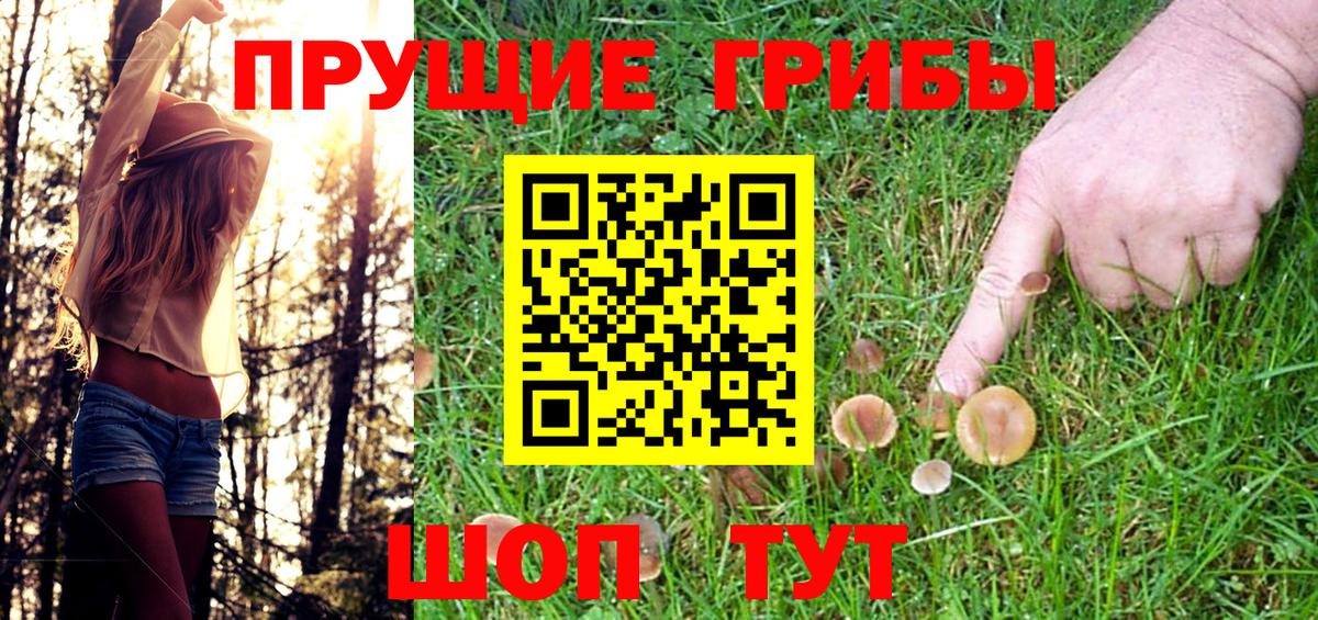 Псилоцибиновые грибы мицелий Нижний Тагил