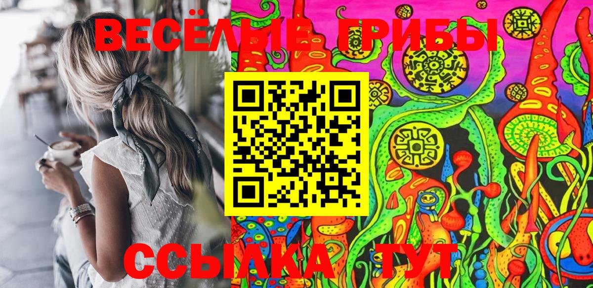 Галлюциногенные грибы Cubensis  Вход с VPN  Нижний Тагил 
